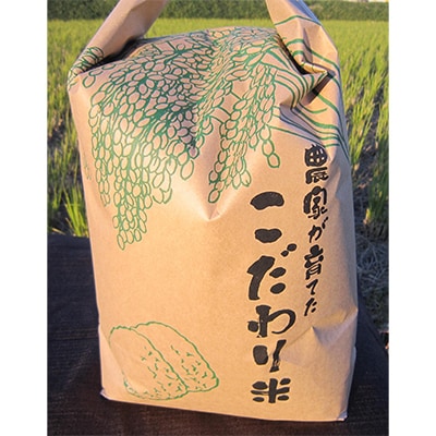 【発送月固定定期便】令和5年産ミルキークイーン(白米) 5kg 全5回