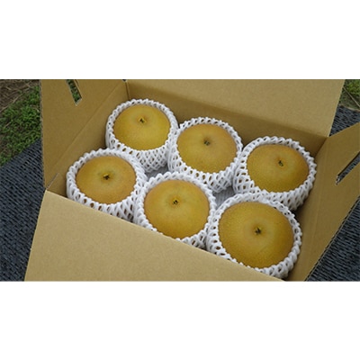 【発送月固定定期便】梨『幸水』と梨『あきづき』全2回【配送不可地域：離島】