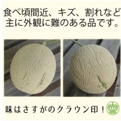 【毎月定期便】【訳あり品】クラウンメロン1玉・9ヵ月毎月お届け全9回【配送不可地域：離島・北海道・沖縄県】