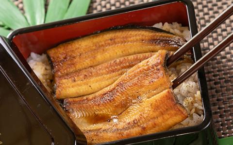 中遠加工場のうなぎ蒲焼　16食セット【配送不可地域：離島】