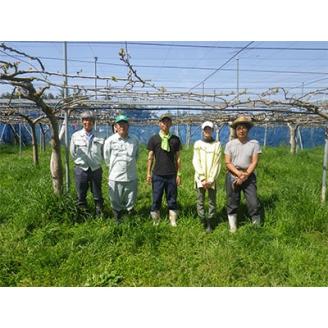 【発送月固定定期便】【2回発送・先行受付】梨(あきづき)とブドウ(シャインマスカット)全2回【配送不可地域：離島】