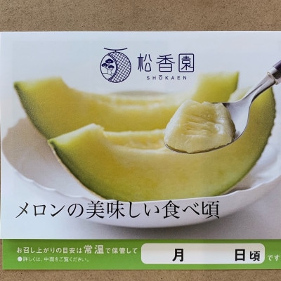 静岡県産高級マスクメロン2玉　桐箱入(山級)【配送不可地域：離島・北海道・沖縄県・東北・中国・四国・九州】