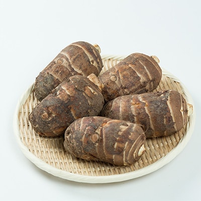 磐田特産海老芋　約3kg