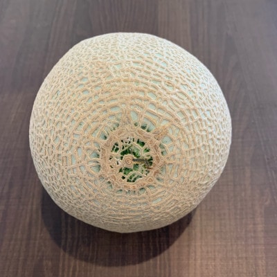 訳あり静岡温室マスクメロン1個入【配送不可地域：離島・北海道・沖縄県】