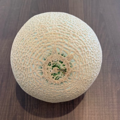 訳あり静岡温室マスクメロン2個入【配送不可地域：離島・北海道・沖縄県】