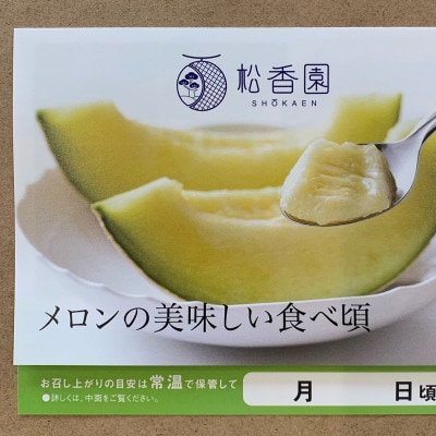 高級静岡温室マスクメロン2個入(化粧箱入)【配送不可地域：離島・北海道・沖縄県】