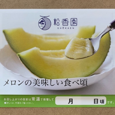 静岡温室マスクメロン2個入(化粧箱入)【配送不可地域：離島・北海道・沖縄県】