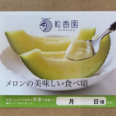 高級静岡温室マスクメロン大1個入(化粧箱入)【配送不可地域：離島・北海道・沖縄県】