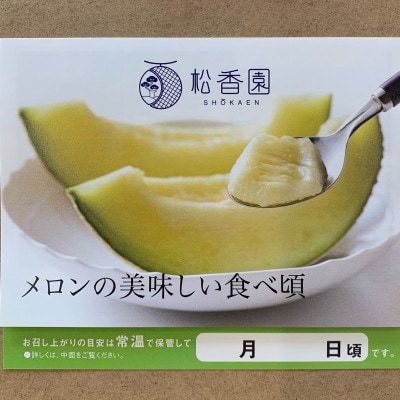 高級静岡温室マスクメロン大2個入(化粧箱入)【配送不可地域：離島・北海道・沖縄県】