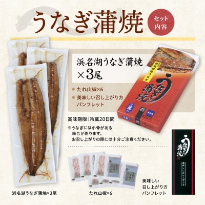 浜名湖産 うなぎ蒲焼 3尾入り【配送不可地域：離島】