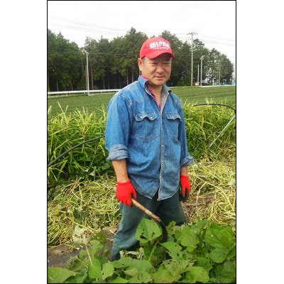 自然の恵み!手作り干し芋230g×5セット