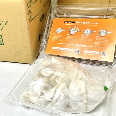 静岡発!キャベツの旨さを追及した【天竜餃子】手土産にも配りやすいパック入り/20個×5パック【配送不可地域：離島】