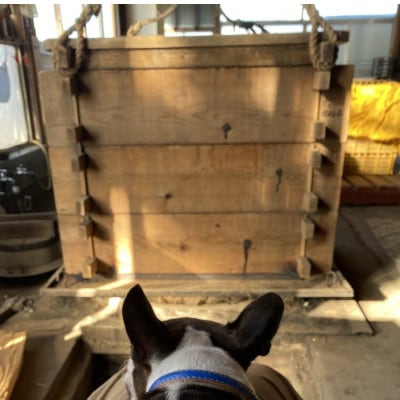 蜜べったりほしいも 400g 3袋