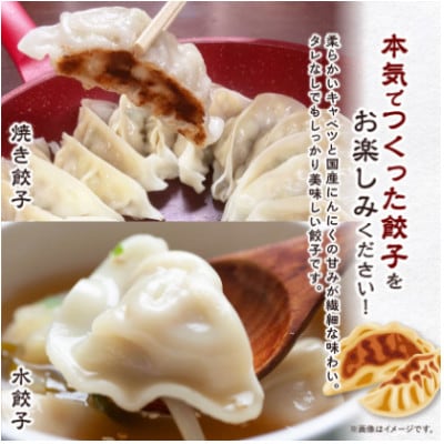 秀餃子 120個(40×3箱)2.4kg 国産野菜と肉の新鮮さにこだわった本気のぎょうざ 国産 冷凍【配送不可地域：離島】