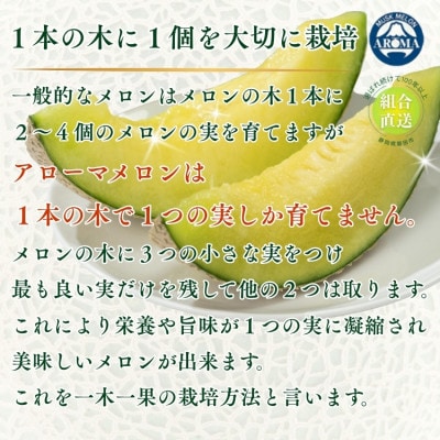 【組合直送】アローマメロン1玉(約1.3kg)～静岡が誇る高級マスクメロン～　9月～2月