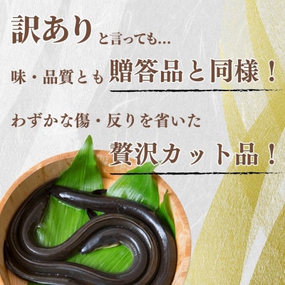 【訳あり】静岡県産 うなぎ蒲焼 カット 100g×10パック 計1kg(タレ・山椒付き)国産【配送不可地域：離島】