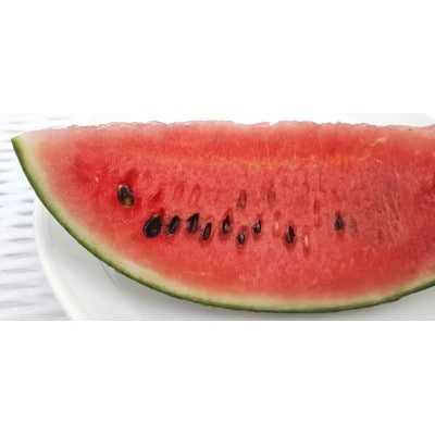 【先行受付/2026年8月上旬より発送】1玉!夏を思いっきり楽しむ!シャリ感抜群!スイカ【ぷちっと】【配送不可地域：離島・北海道・沖縄県】