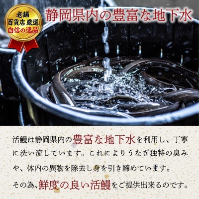 老舗百貨店自信の逸品　静岡県産うなぎ長蒲焼(130g×3P)・蒲焼きざみ(90g×1P)セット【配送不可地域：離島】