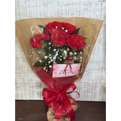 母の日に!4月下旬以降順次発送　カーネーションブーケとおいしいお米のセット・お花長持ち栄養剤付き!