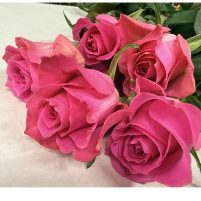 2月発送!同級生コンビでお届けするピンクバラのブーケとおいしいお米(精米)のセット・栄養剤付き!