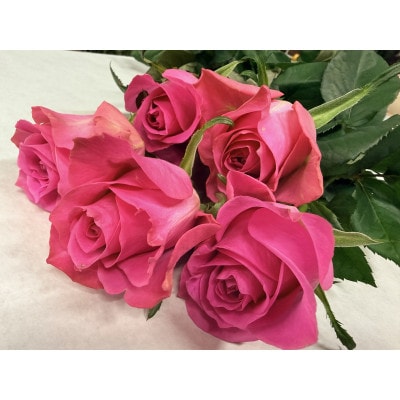 5月発送!同級生コンビでお届けするピンクバラのブーケとおいしいお米(精米)のセット・栄養剤付き!