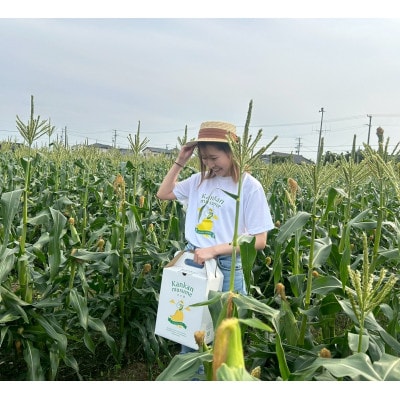 【2026年6月～7月順次発送】とうもろこし 約5kg 甘々娘(訳あり) 朝採り スイートコーン【配送不可地域：離島・北海道・沖縄県・東北・中国・四国・九州】