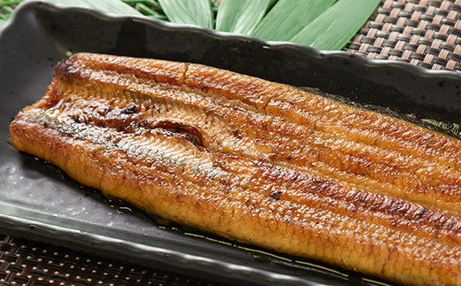 中遠加工場のうなぎ長蒲焼　2食セット【配送不可地域：離島】