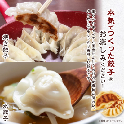 秀餃子 80個(40×2箱)国産野菜と肉の新鮮さにこだわった本気のぎょうざ 国産 冷凍【配送不可地域：離島】