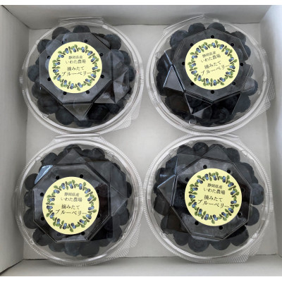 【令和8年5月 順次発送】完熟ブルーベリー生果実・800g　静岡県磐田市産【配送不可地域：離島】