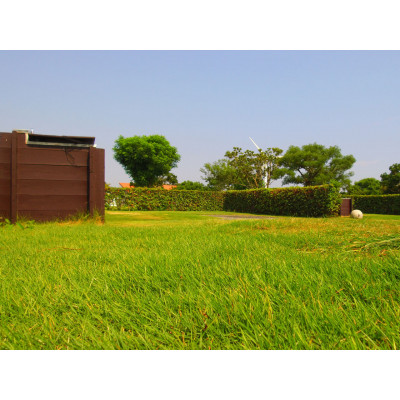 磐田市 竜洋海洋公園オートキャンプ場　AC電源付区画サイト ご利用券