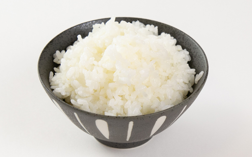 静岡県磐田産コシヒカリ(精米)5kg×2袋