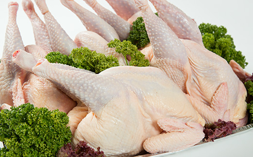 【希少!おやどり5羽入】親赤鶏中抜◆旨みたっぷりの親鳥をお届け!丸鶏を中抜きで丸ごと!骨付鳥にも◎【配送不可地域：離島】