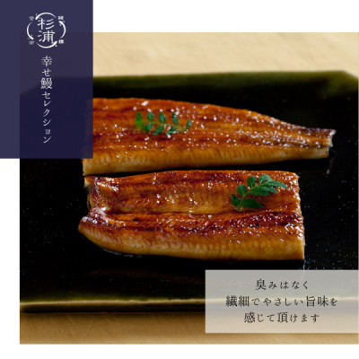 【1本210g以上】遠州杉浦うなぎMセット　白焼2本+蒲焼2本(880-980g)+肝白焼+タレ【配送不可地域：離島】