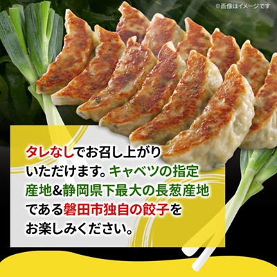 しっぺいの葱塩餃子 150個(50個×3袋)きわだつ旨み!磐田市特産品の長葱使用 国産ぎょうざ 冷凍【配送不可地域：離島】