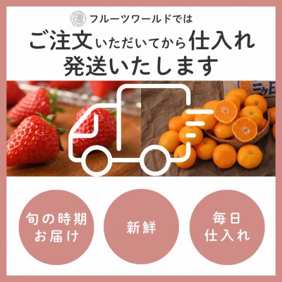 【2027年先行受付】静岡県磐田市 いちご 紅ほっぺ 約260g×4パック【配送不可地域：離島・北海道・沖縄県】
