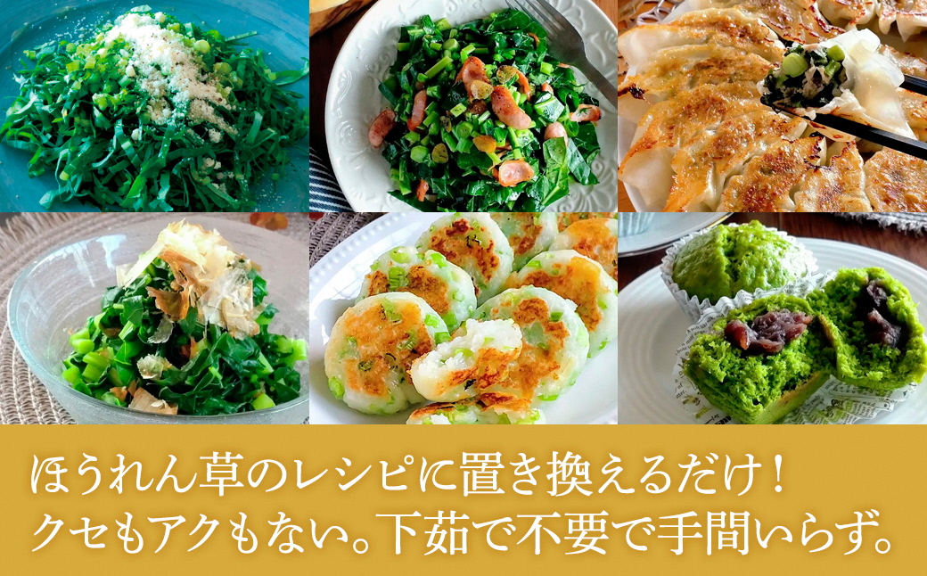 【毎月定期便】TV紹介で大好評 ソフトケール 100g×5袋 健康 腸活応援 スムージー 全3回【配送不可地域：離島】