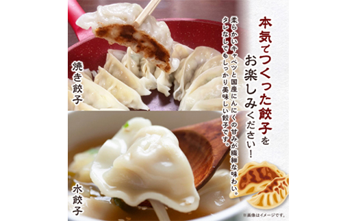 【発送月固定定期便】秀餃子80個(40個×2箱)×隔月発送6回 静岡県磐田市 全6回【配送不可地域：離島】