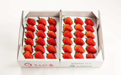 先行受付/2025年12月上旬発送開始!抜群の美味しさ!静岡限定:きらぴ香いちご大粒18粒×2パック【配送不可地域：離島・北海道・沖縄県・東北・中国・四国・九州】