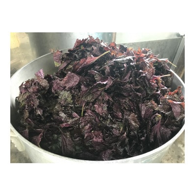 無添加しそジュース500ml×6本