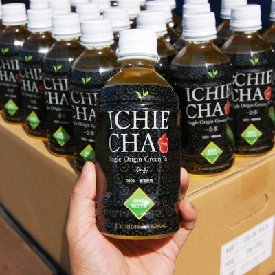 高級煎茶　ICHIE　CHA 12本入り シングルオリジン ペットボトル高級緑茶　静岡磐田市産
