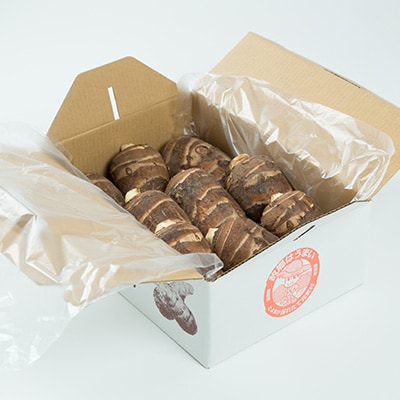 磐田特産海老芋　約3kg