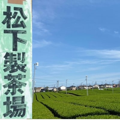 【お茶の国・静岡発】静岡の深蒸し茶1kg(磐田産)