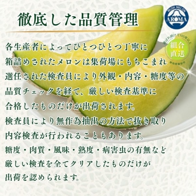 【組合直送】アローマメロン1玉(約1.3kg)～静岡が誇る高級マスクメロン～