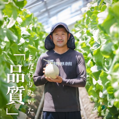 【組合直送】静岡が誇る温室高級マスクメロン「クラウンメロン」1玉(約1.3kg)