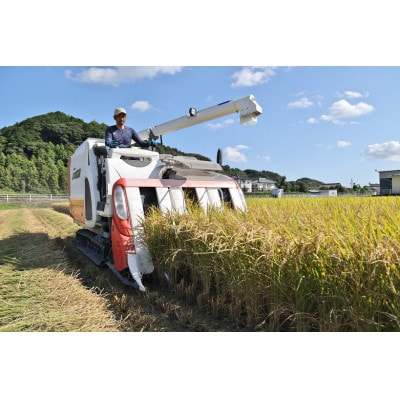 静岡こしひかり 精米 5kg