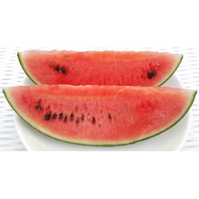 【先行受付/2026年8月上旬より発送】1玉!夏を思いっきり楽しむ!シャリ感抜群!スイカ【ぷちっと】【配送不可地域：離島・北海道・沖縄県】