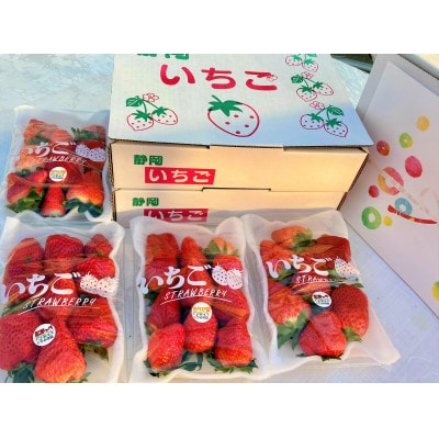 【年内発送】完熟・採れたてイチゴ「紅ほっぺ」大粒1.2kg(300g×4P)【配送不可地域：離島・北海道・沖縄県・東北・中国・四国・九州】