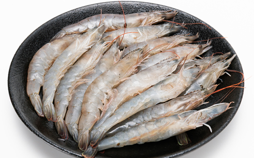 地球に優しい国産エビ　冷凍「幸えび」160g×2袋(合計320g) 静岡県磐田市産【配送不可地域：離島】