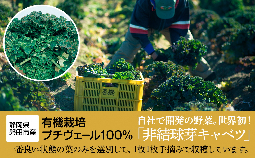 野菜でカルシウム!【完全無添加 プチヴェール(R)100%サプリメント 静岡県磐田市産】