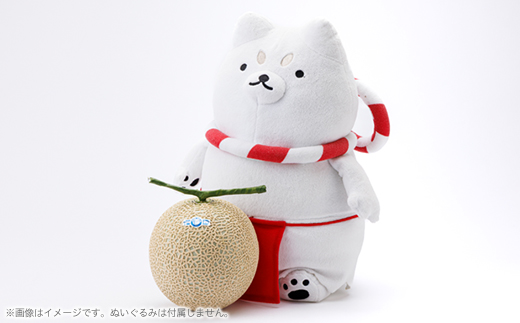 磐田市　アローマメロン　1.2キロ以上　白等級　食べごろ日記載あり　静岡県産　ライオンメロン